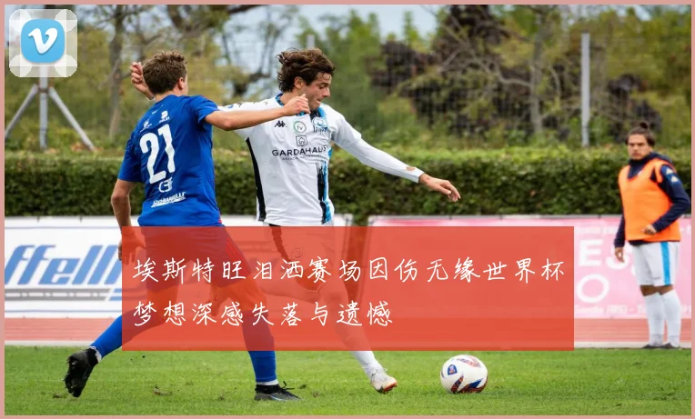 埃斯特旺泪洒赛场因伤无缘世界杯梦想深感失落与遗憾